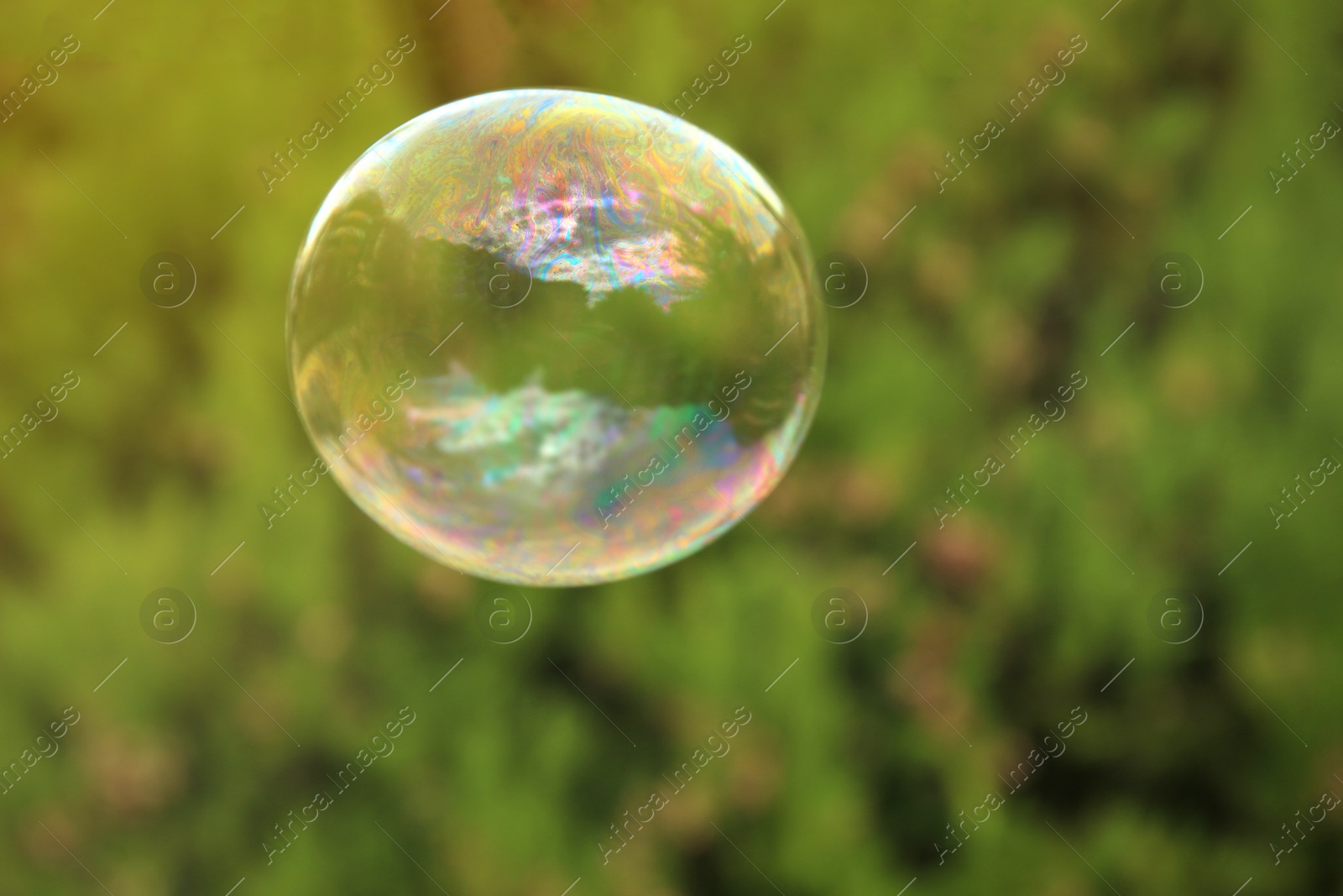 Photo of One beautiful clear soap bubble floating outdoors