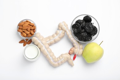 Photo of Intestine model and products to help digestion on white background, top view
