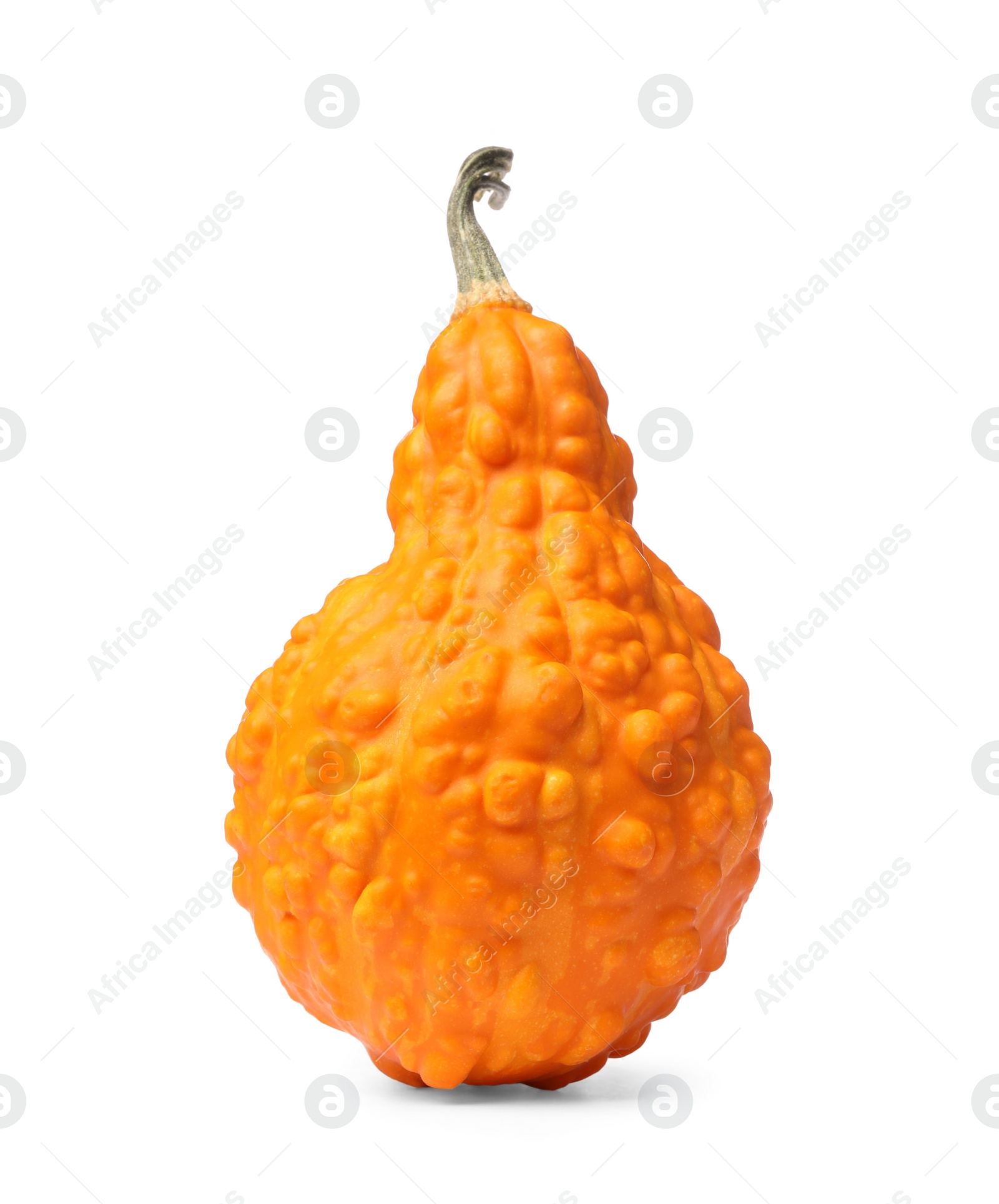 Photo of One fresh orange pumpkin isolated on white