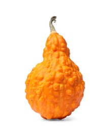 Photo of One fresh orange pumpkin isolated on white