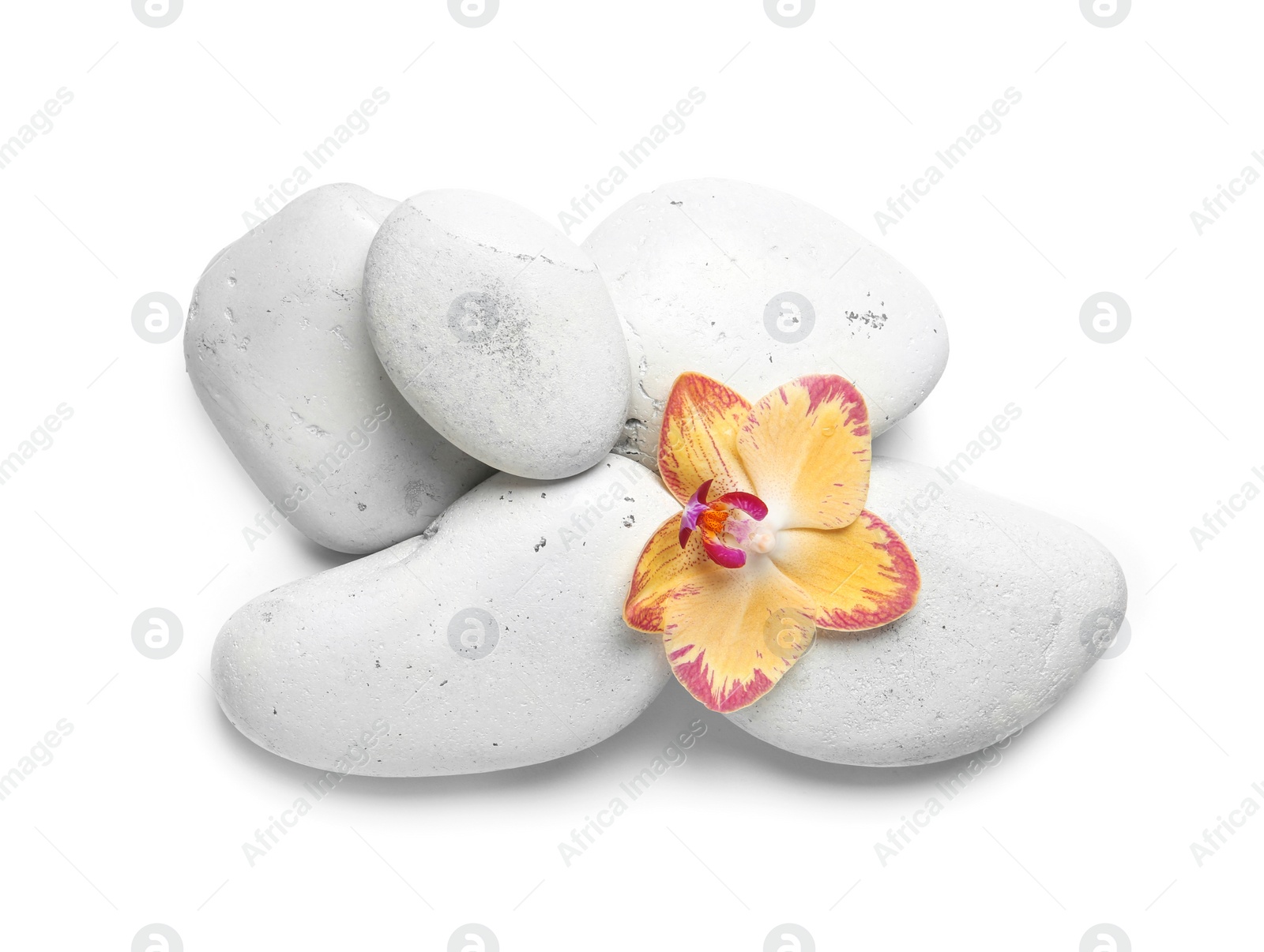 Photo of Spa stones with orchid flower on white background, top view