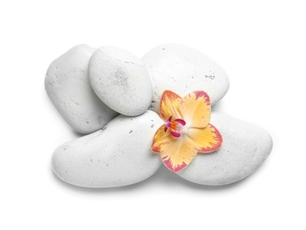 Spa stones with orchid flower on white background, top view