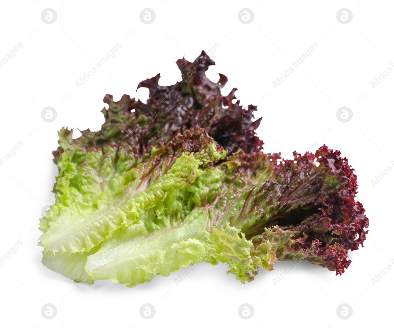 Photo of Leaves of fresh red coral lettuce isolated on white