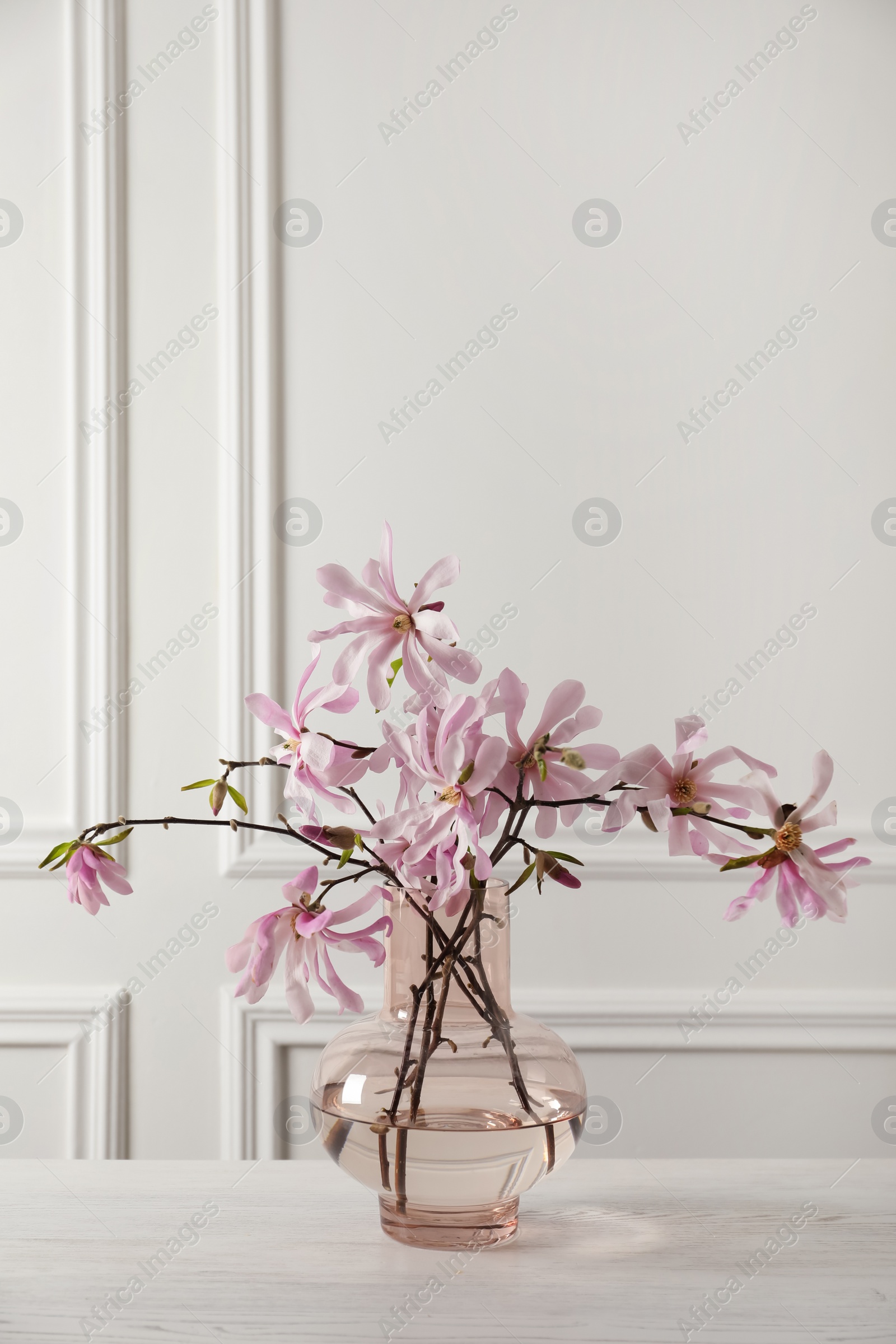 Photo of Magnolia tree branches with beautiful flowers in glass vase on white wooden table