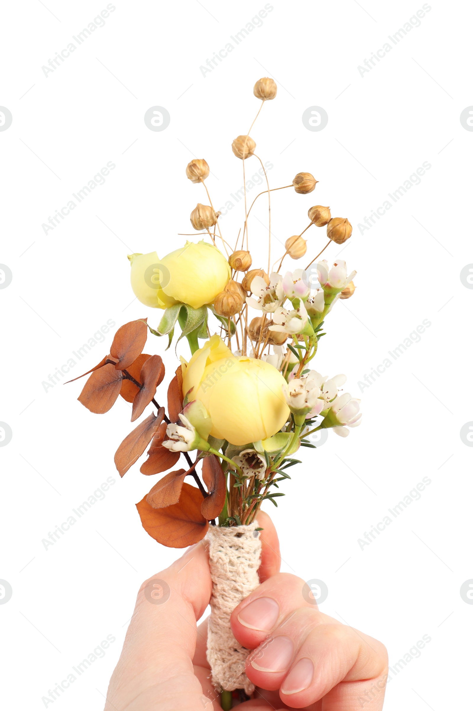 Photo of Woman holding stylish boutonniere on white background, closeup