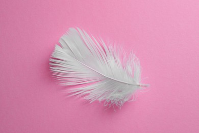 Fluffy white feather on pink background, top view
