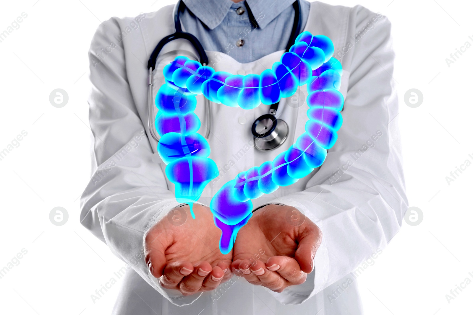 Image of Gastroenterologist holding illustration of large intestine on white background, closeup