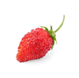 Photo of One ripe wild strawberry isolated on white