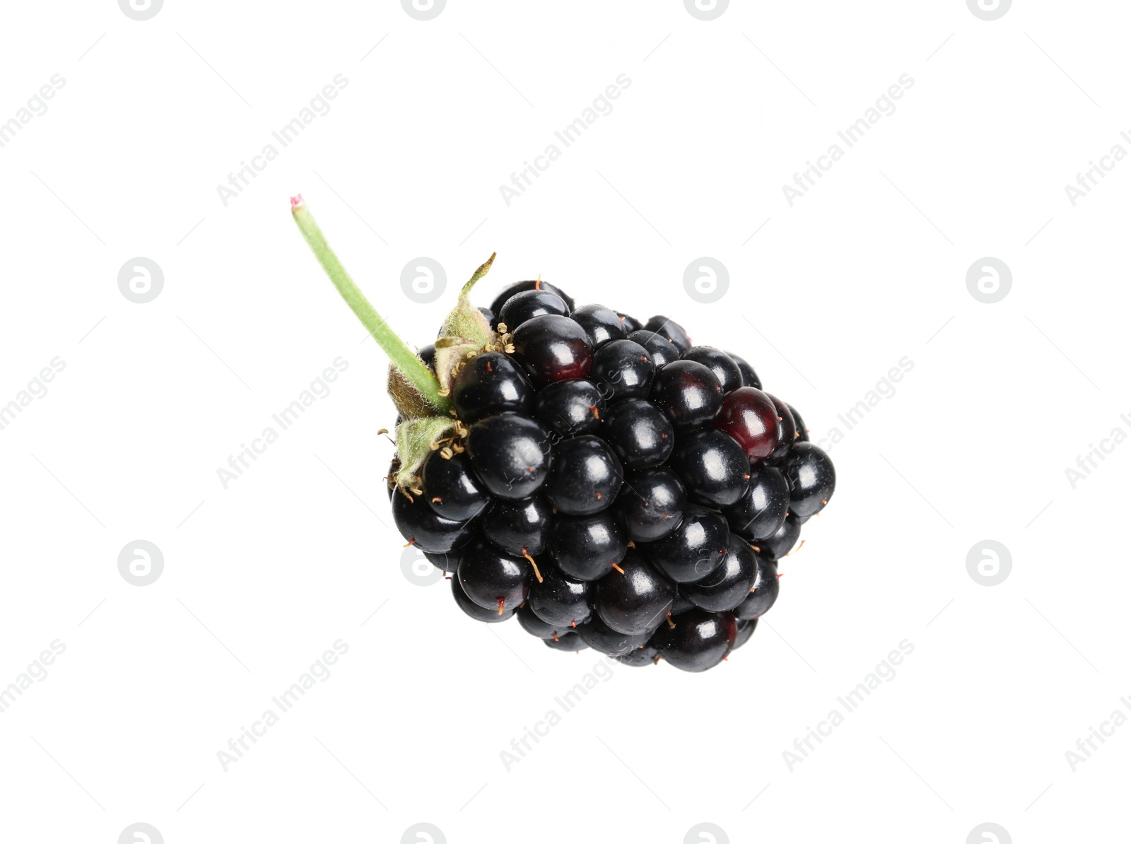 Photo of One tasty ripe blackberry isolated on white