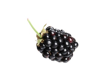 One tasty ripe blackberry isolated on white