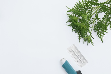 Ragweed plant (Ambrosia genus), asthma inhaler and pills on white background, top view