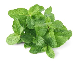 Photo of Fresh green mint leaves isolated on white