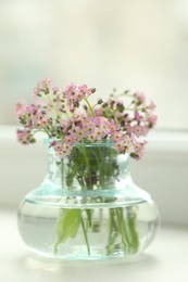 Photo of Beautiful Forget-me-not flowers in vase on window sill