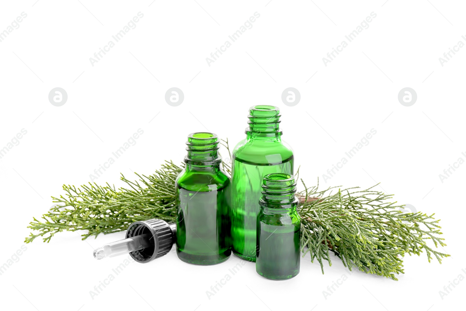 Photo of Different little bottles with essential oils and pine branches on white background