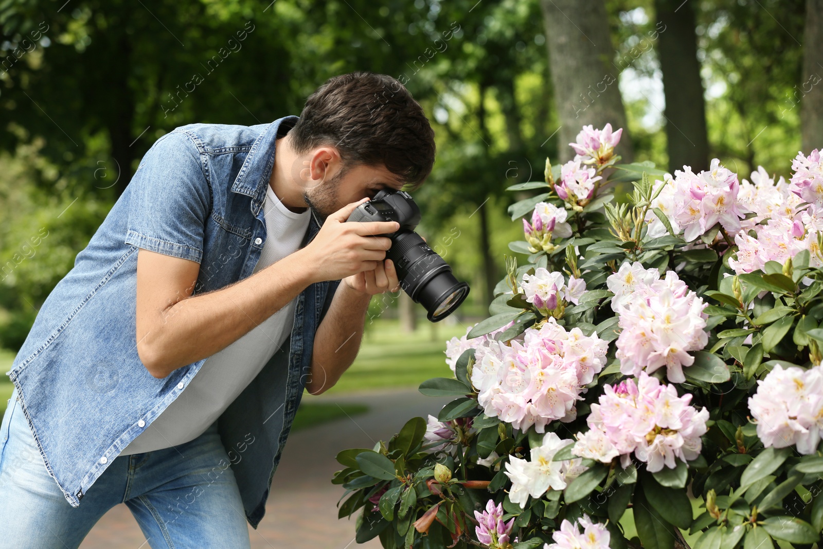 Photo of Photographer taking photo of blossoming bush with professional camera in park