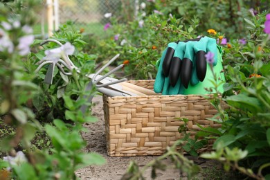 Photo of Wicker basket with gloves and gardening tools near flowers outdoors