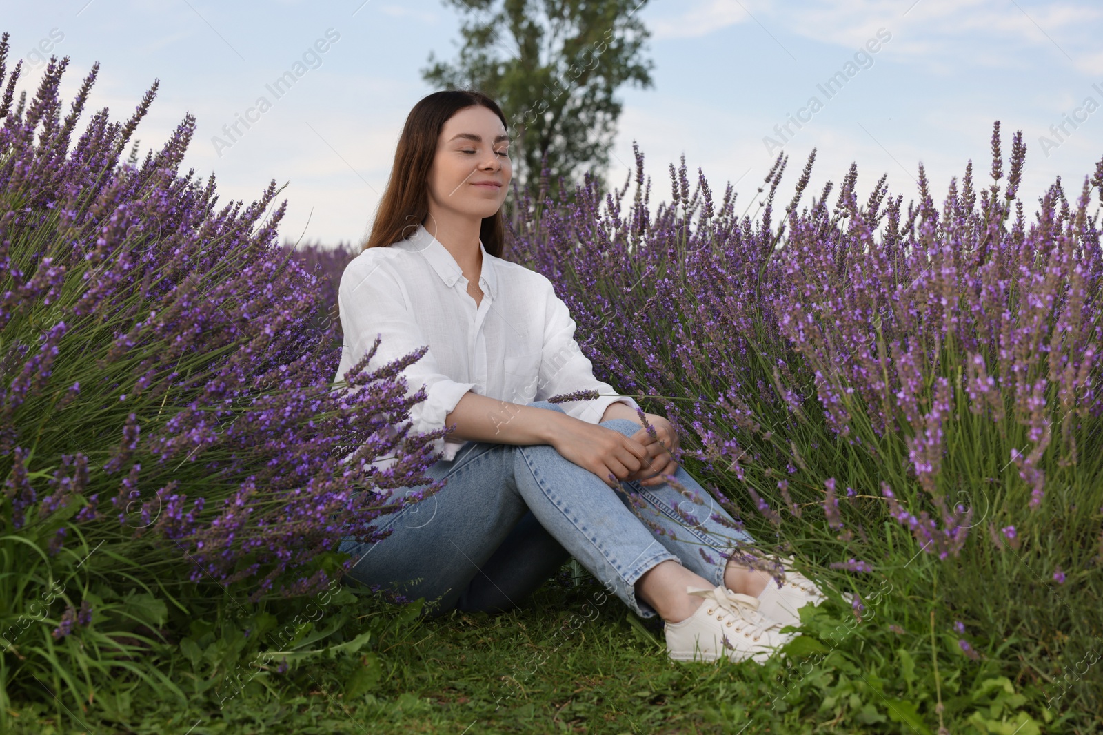 Photo of Beautiful woman sitting among lavender plants outdoors