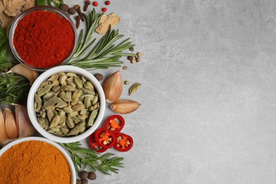 Photo of Flat lay composition with different natural spices and herbs on light grey table, space for text