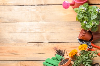 Photo of Flat lay composition with gardening tools and plants on wooden background
