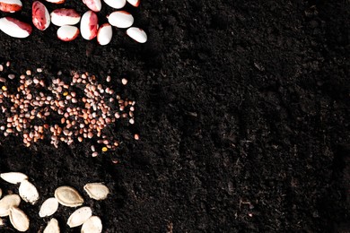 Photo of Different vegetable seeds on fertile soil, flat lay. Space for text