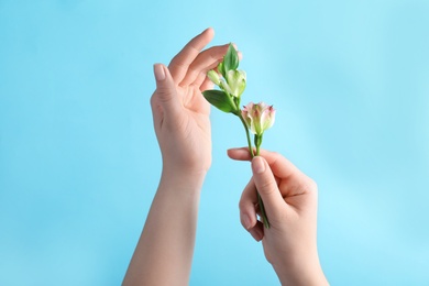 Photo of Woman holding fresh flowers on blue background, closeup