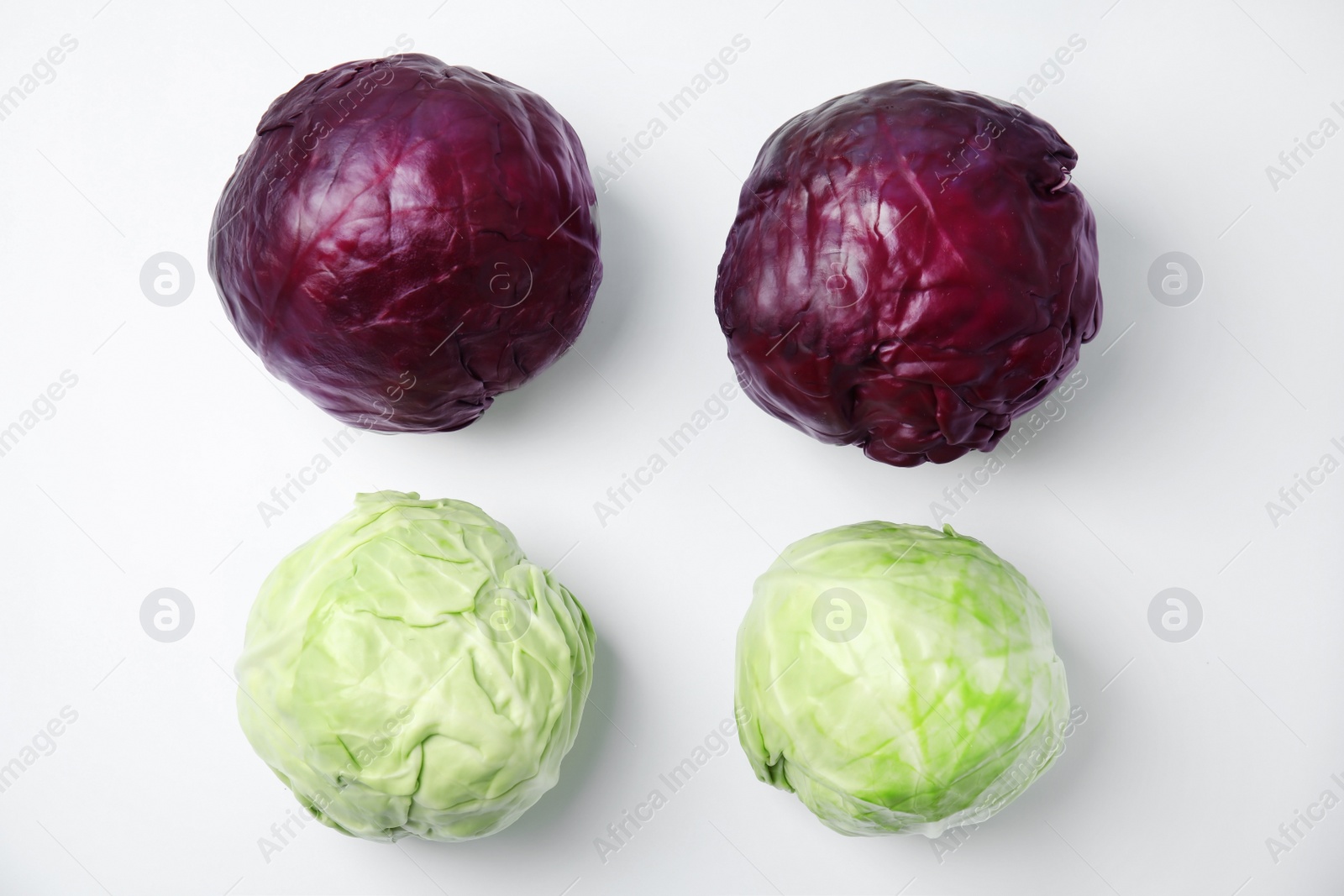 Photo of Flat lay composition with ripe cabbages on white background