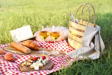 Picnic blanket with delicious food and wine in park on sunny day