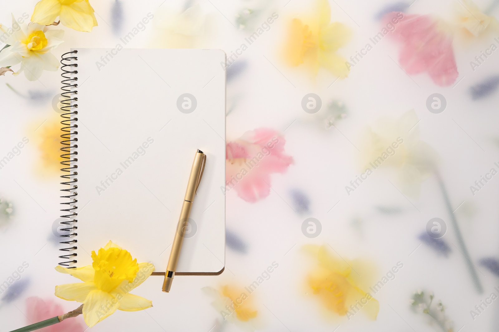 Photo of Guest list. Notebook, pen and daffodils on spring floral background, flat lay. Space for text