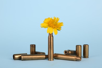 Photo of Bullet cartridge cases and beautiful yellow flower on light blue background