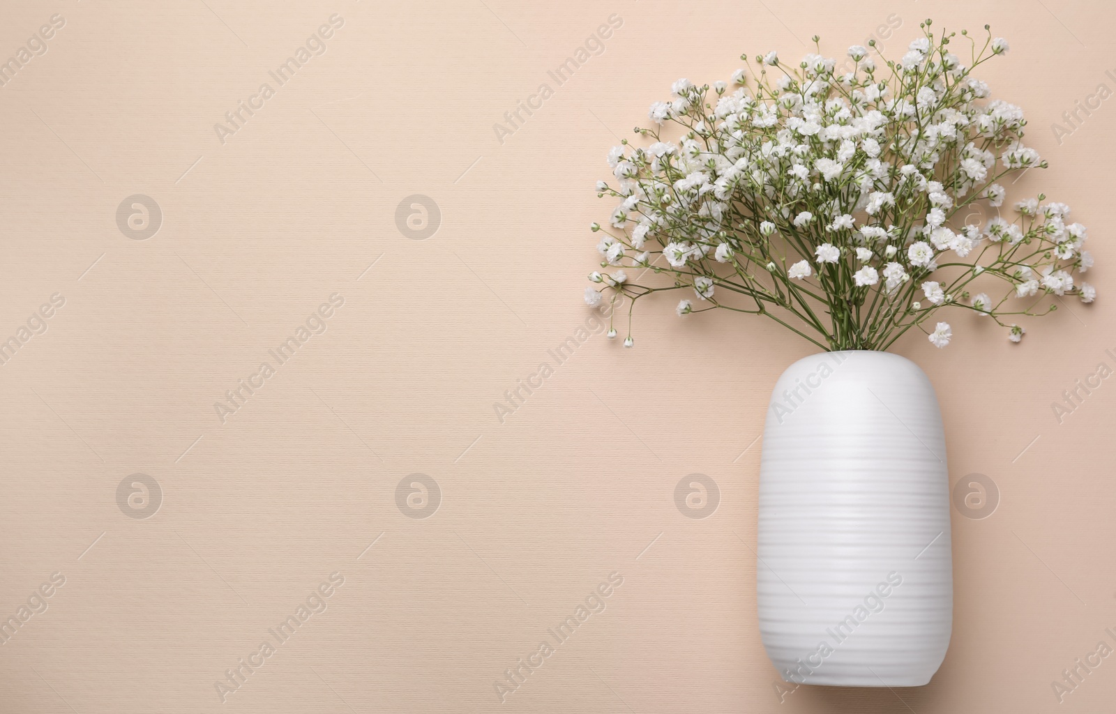 Photo of Beautiful gypsophila flowers in vase on beige background, top view. Space for text