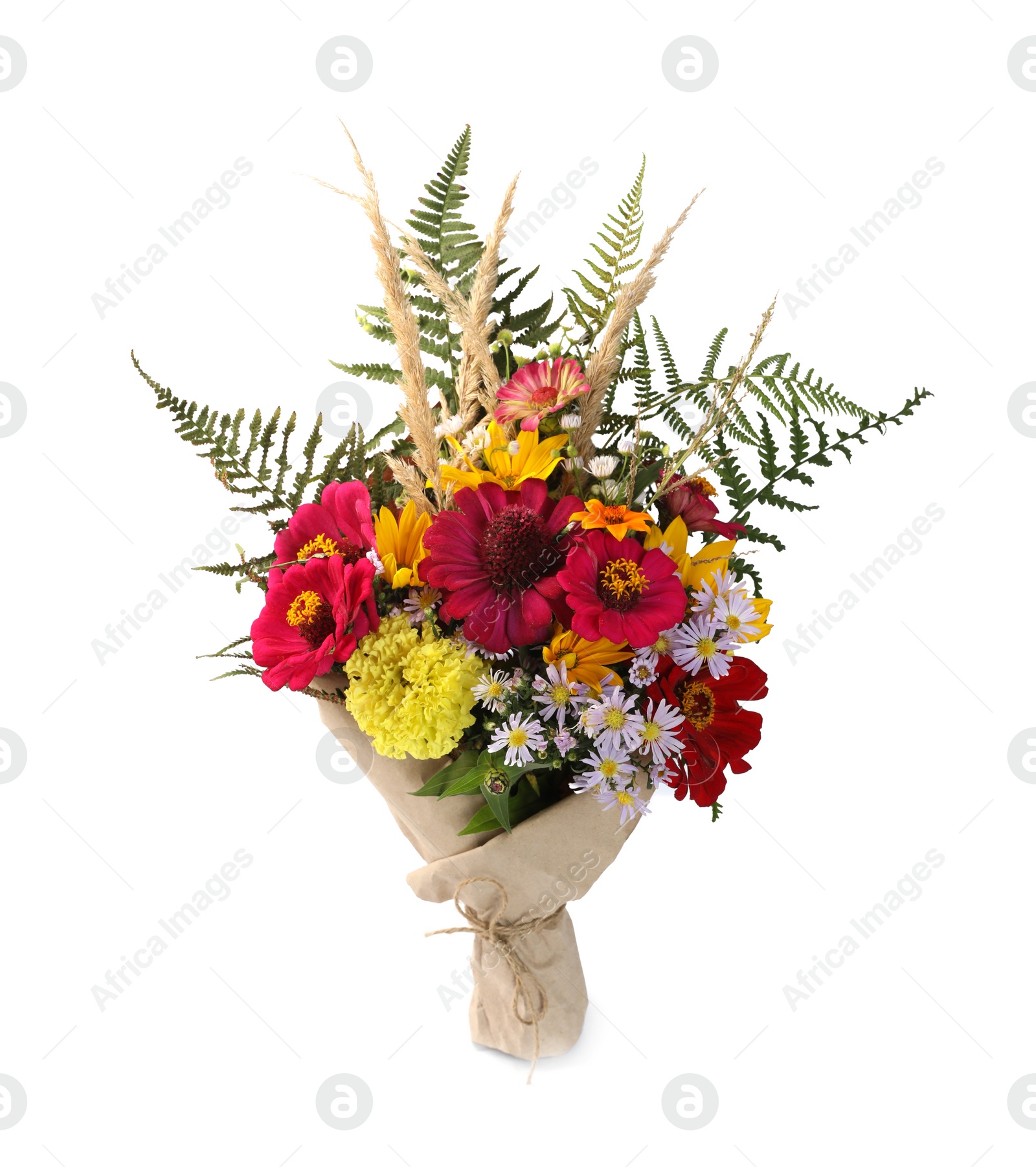 Photo of Bouquet of beautiful wild flowers isolated on white