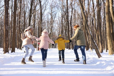 Photo of Family walking in sunny snowy forest, back view