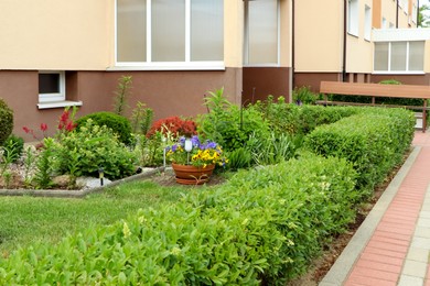 Many different beautiful plants on city street. Gardening and landscaping