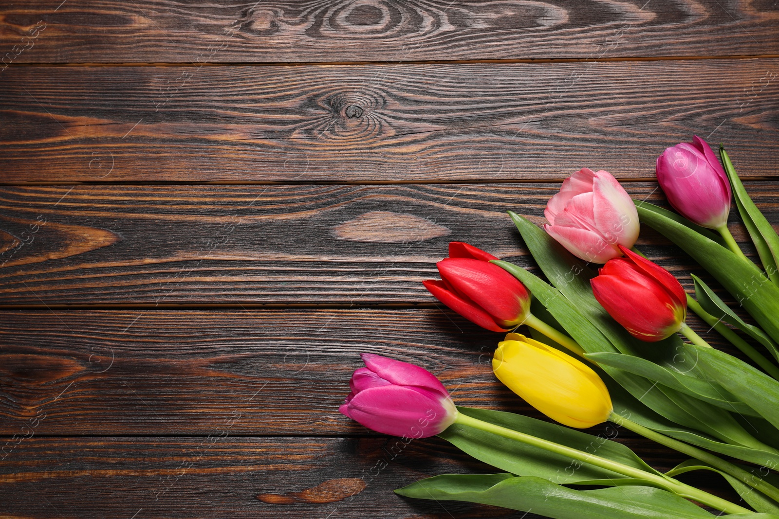 Photo of Beautiful colorful tulips on wooden table, flat lay. Space for text