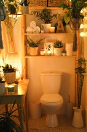 Stylish bathroom interior with toilet bowl and green plants