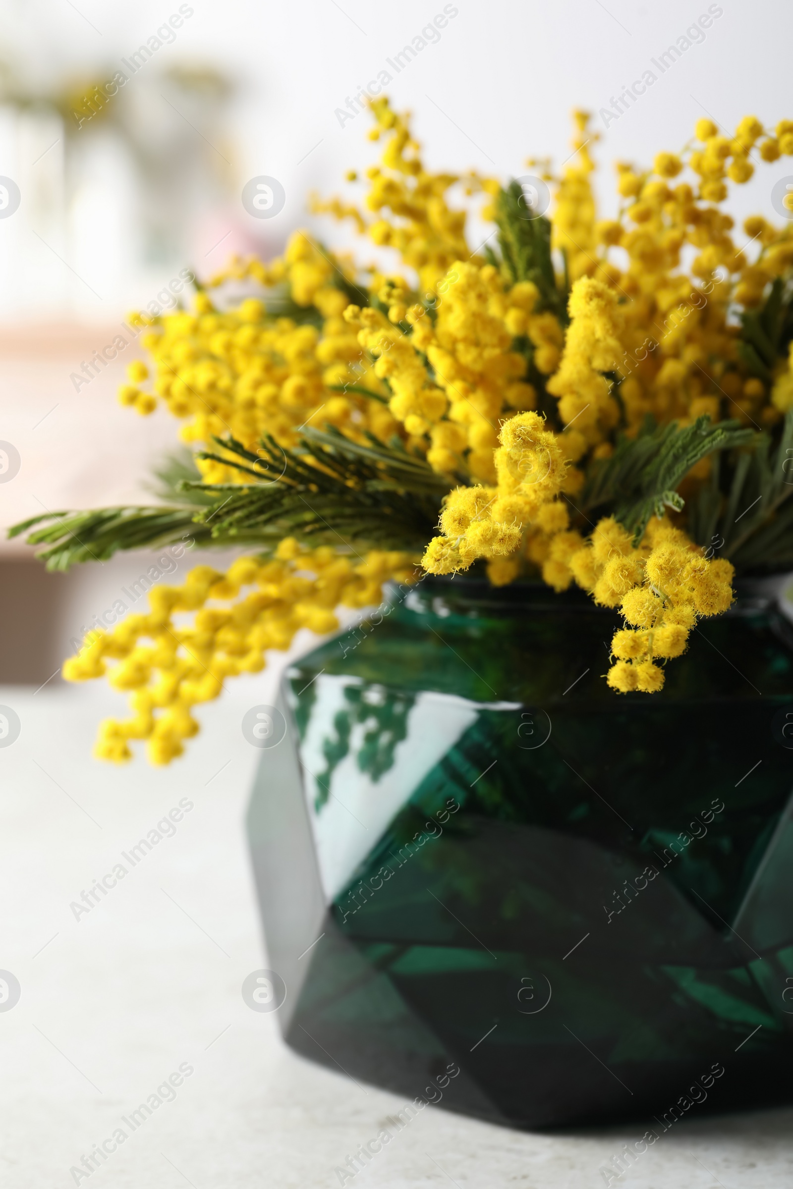 Photo of Beautiful mimosa flowers on white table indoors, closeup