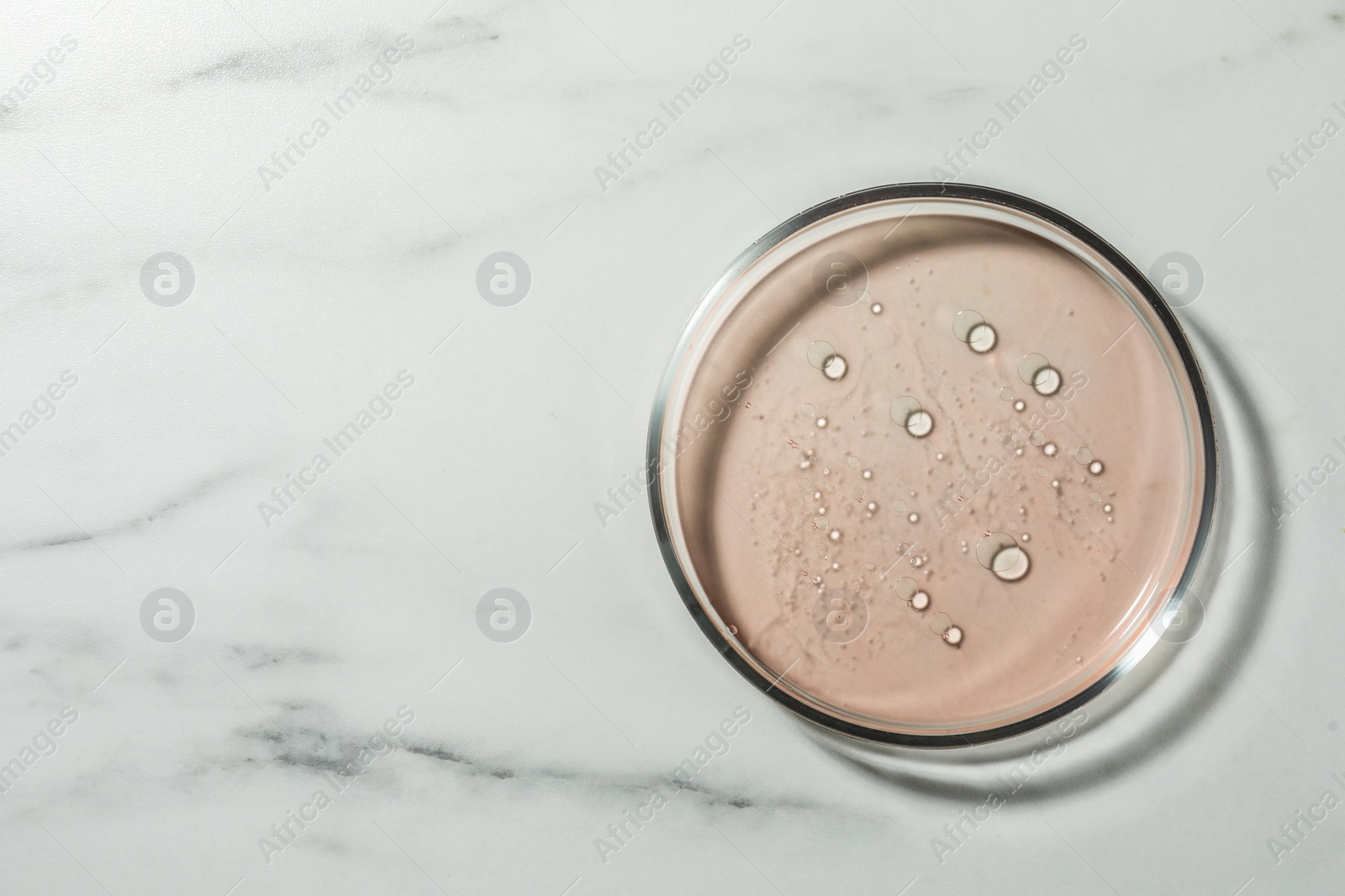 Photo of Petri dish with liquid on white marble table, top view. Space for text