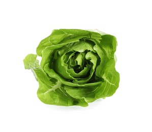 Photo of Fresh green romaine lettuce isolated on white