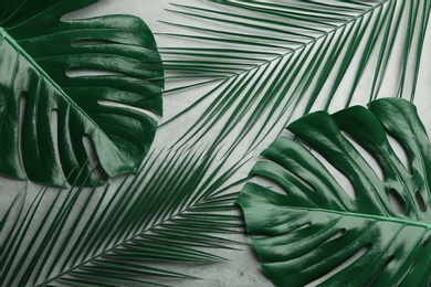 Photo of Beautiful monstera and palm leaves on light grey background, flat lay. Tropical plants