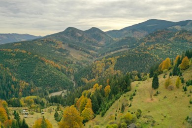 Photo of Aerial view of beautiful mountain forest on autumn day