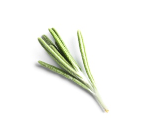 Photo of Fresh rosemary on white background