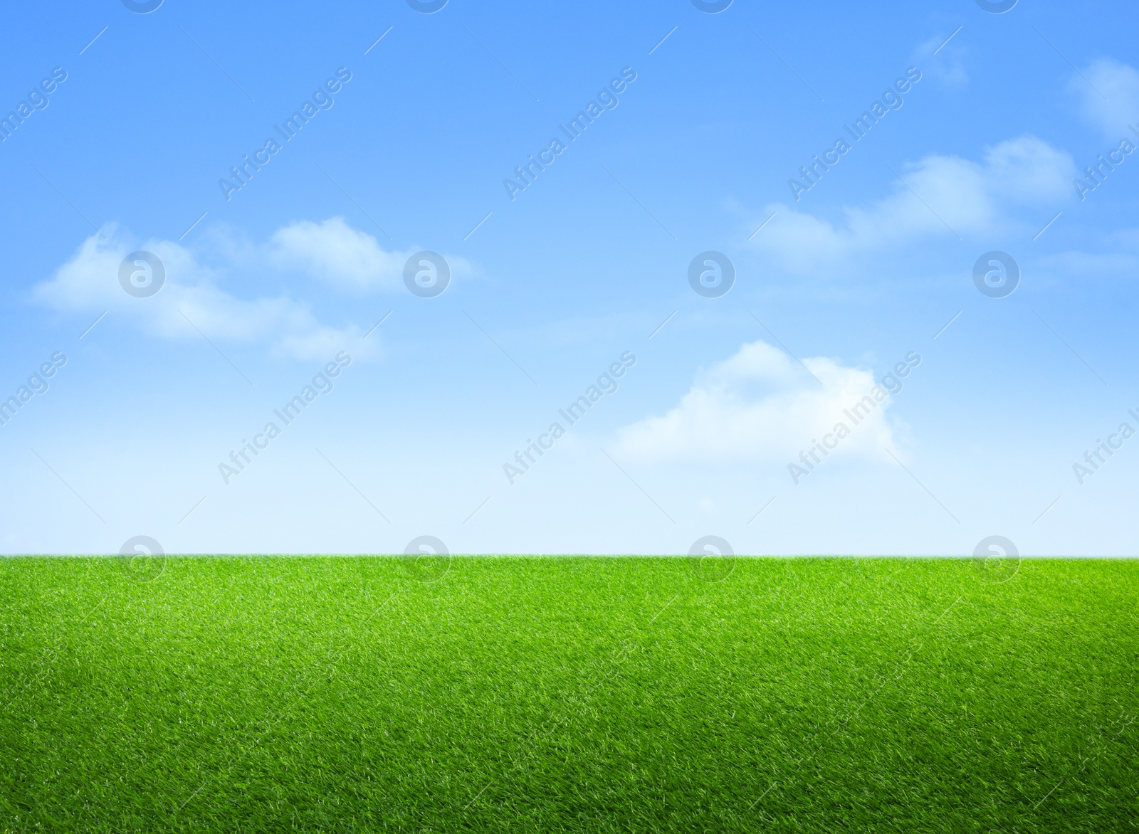 Image of Green grass under blue sky with clouds