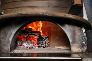 Oven with burning firewood and tasty pizza in restaurant kitchen