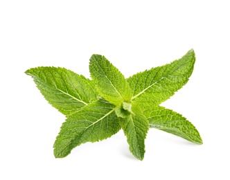 Fresh green mint leaves on white background