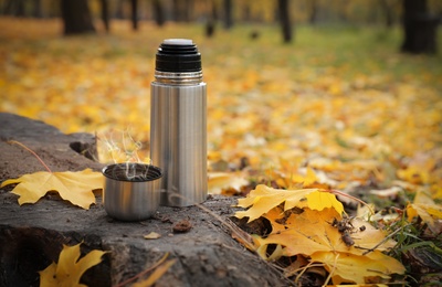 Photo of Metallic thermos and cap on tree stump in autumn park. Space for text