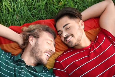 Happy gay couple lying on green grass, above view