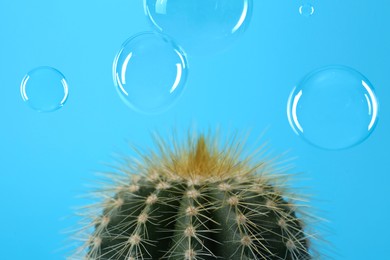 Image of Soap bubbles near cactus on light blue background