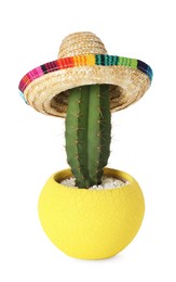 Cactus with Mexican sombrero hat isolated on white