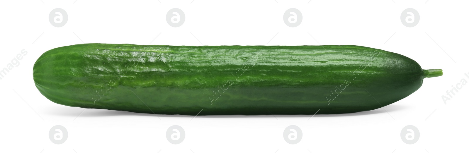 Photo of One long fresh cucumber isolated on white