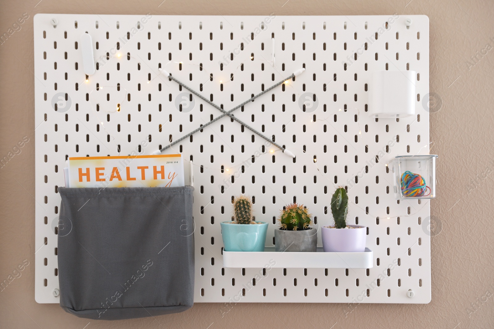 Photo of Pegboard with different cacti and magazine on wall